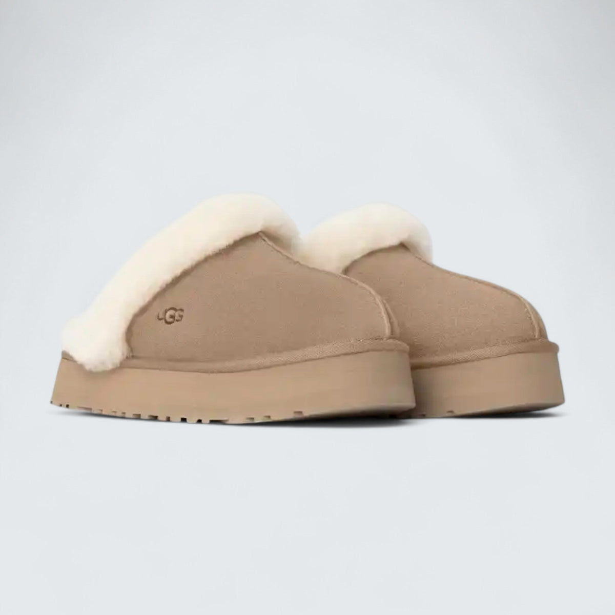 UGG Disquette